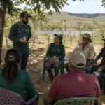 Desenvolvimento sustentável no semiárido: caminhos para atuação territorial