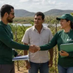 Atuação em rede e cooperação para o desenvolvimento territorial